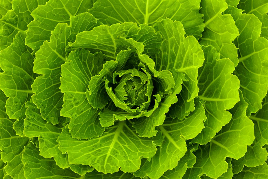 5 Best Anti-inflammatory supplements
