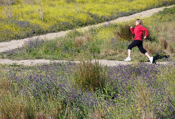 5 Best Anti-inflammatory supplements