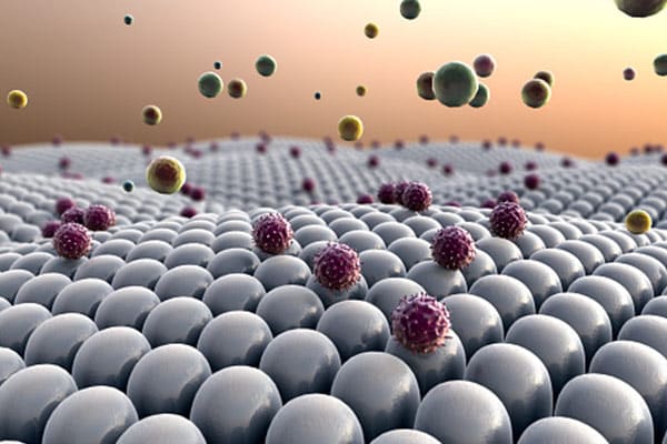 5 Best Anti-inflammatory supplements